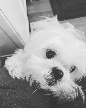 OnlyFans cuenta tatertot94 header 2