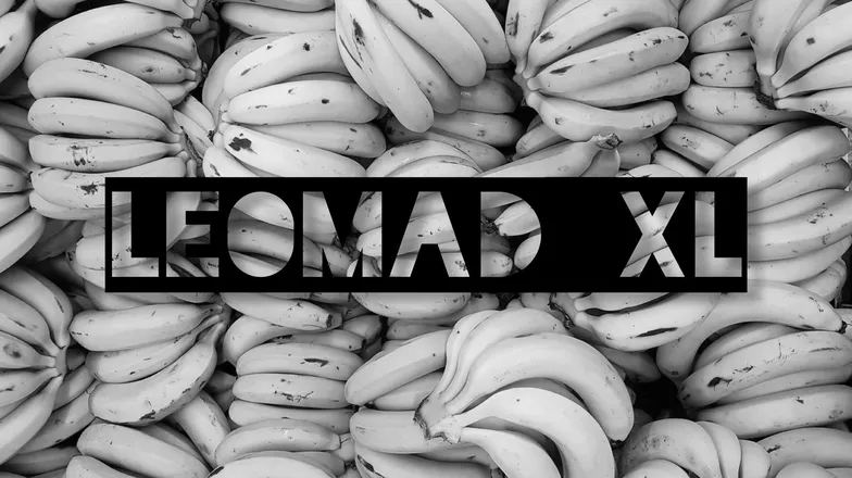 OnlyFans cuenta leomad_xl_free header 2