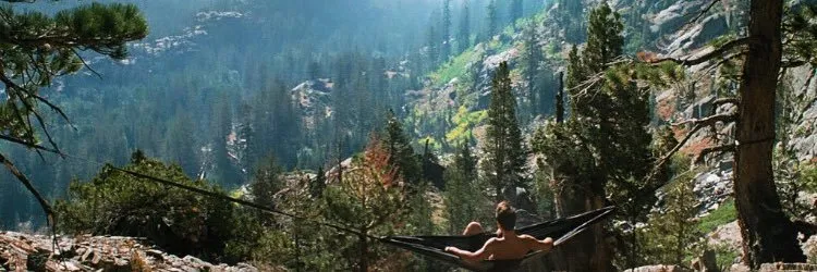OnlyFans cuenta whoislogan header 2