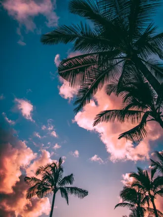 OnlyFans cuenta msdreamyhaze header 2