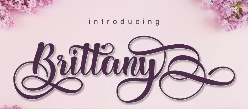OnlyFans cuenta brittytitty26 header 2