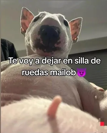OnlyFans cuenta adivino_2026 header 2