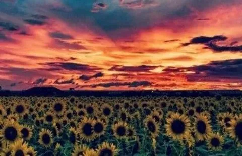 OnlyFans cuenta denisee18 header 2