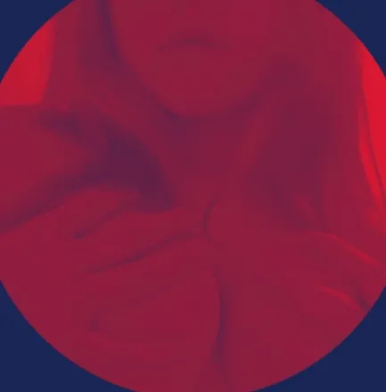 OnlyFans cuenta scrlt244 header 2