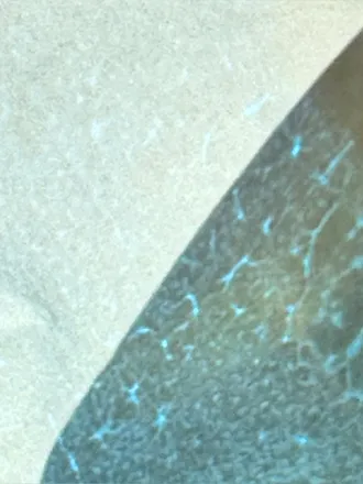OnlyFans cuenta goddess_xeva header 2