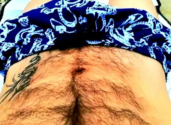 OnlyFans cuenta hairyxlxl header 2