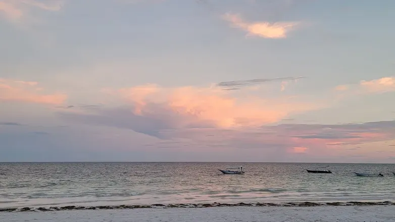OnlyFans cuenta leia.sarah header 2
