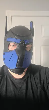 OnlyFans cuenta apollothedog header 2