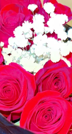 OnlyFans cuenta sweetyella300 header 1