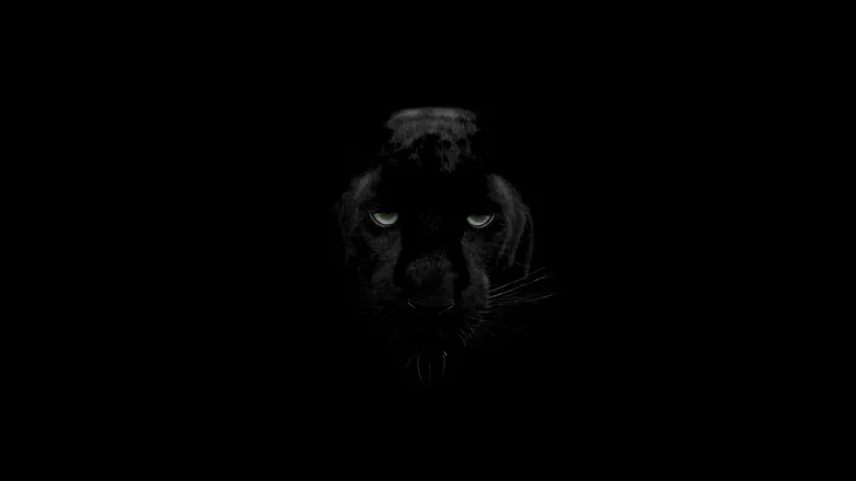 OnlyFans cuenta blackpanther4 header 2