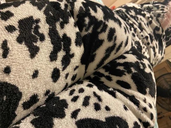 OnlyFans cuenta emilymarie2493 header 2