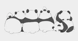 OnlyFans account  pandaboi1 header 2