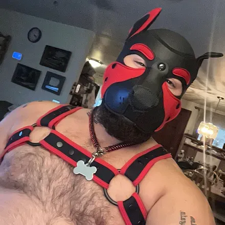 OnlyFans cuenta pupoakley0 avatar 1
