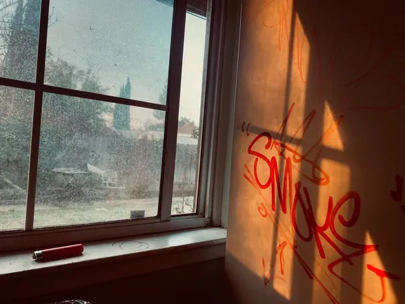 OnlyFans cuenta dudemandudebro avatar 1