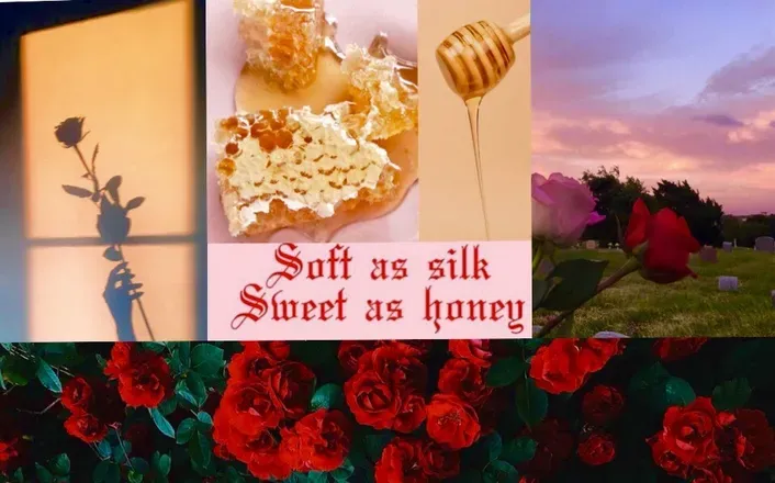 OnlyFans cuenta honey_roses header 2