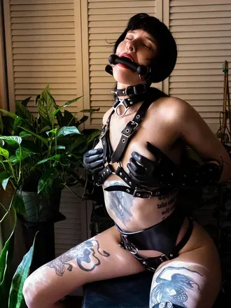 OnlyFans account  echo_noir header 2
