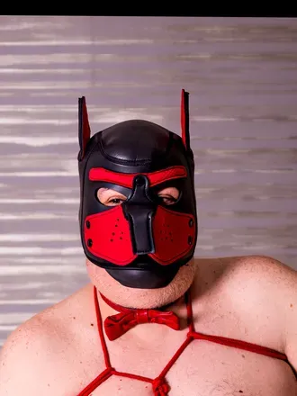 OnlyFans cuenta dallasbearguy avatar 1