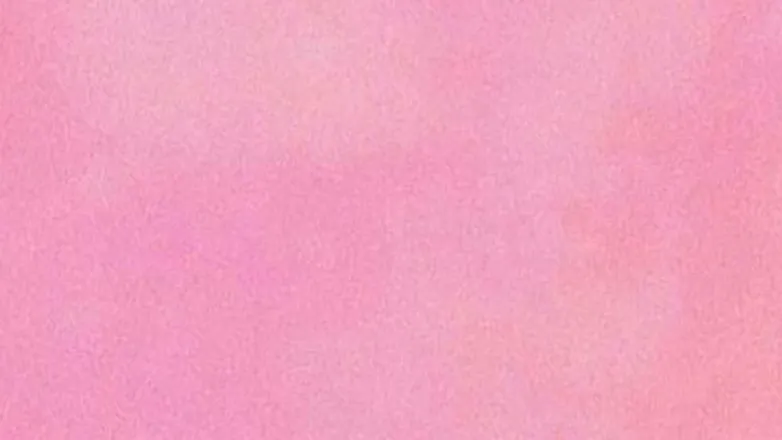 OnlyFans account  winterx3 header 2