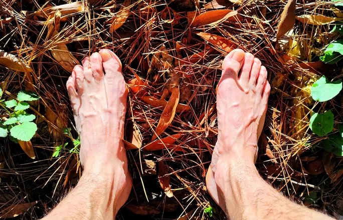 OnlyFans cuenta will.i.am.feet header 2