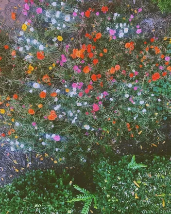 OnlyFans cuenta olive.a.smutty header 2