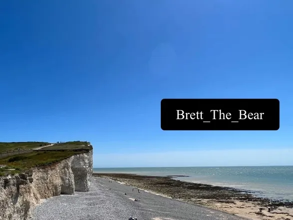 OnlyFans cuenta brett_the_bear header 2