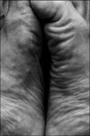OnlyFans cuenta feetfineart avatar 1