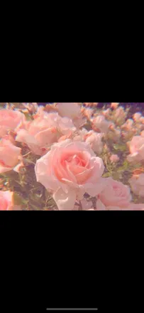 OnlyFans account  girlnextdoor_7 header 2