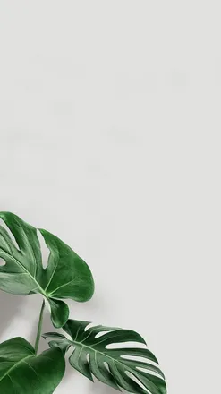 OnlyFans cuenta plasicx header 2