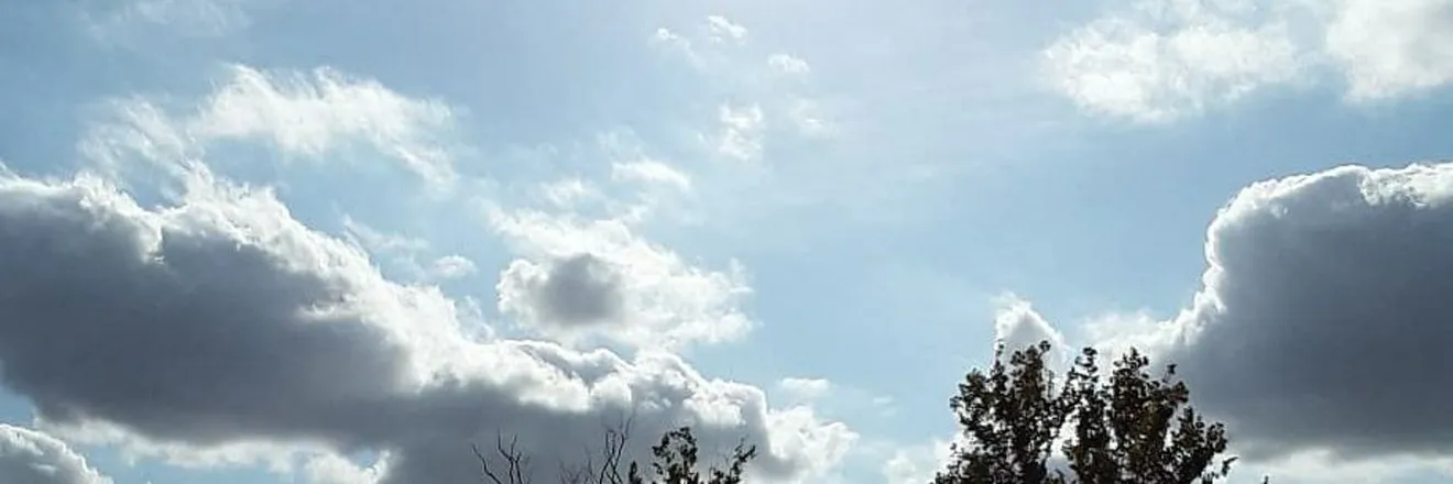 OnlyFans account  gugvotfotzjktcuv header 1