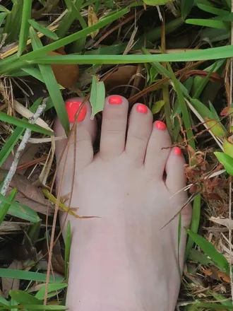 OnlyFans account  sweetmichelli7 header 2