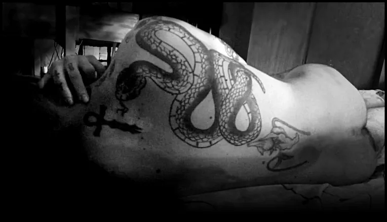 OnlyFans cuenta expired.pirate header 2