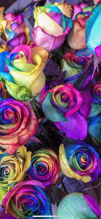 OnlyFans cuenta princesspretty2 header 2