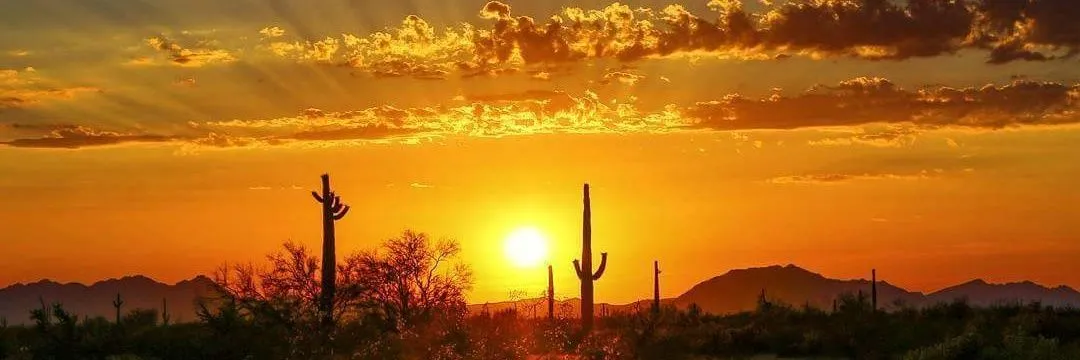 OnlyFans cuenta arizonaice header 2