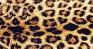 OnlyFans cuenta u167398141 header 2