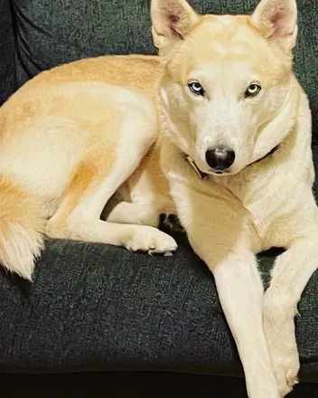 OnlyFans cuenta scorpio_fever95 header 2