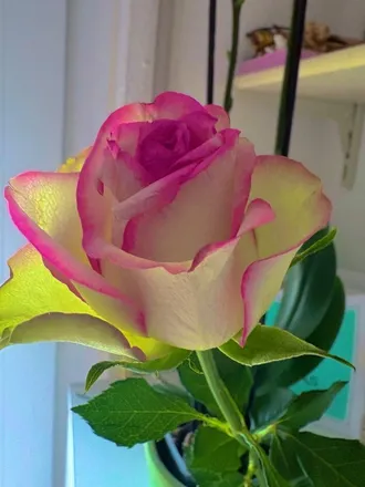 OnlyFans cuenta laraaxx header 2