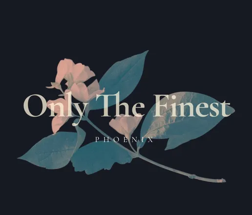 OnlyFans cuenta onlythefinestmedia header 2