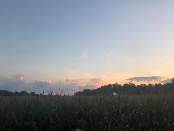 OnlyFans account  madequestrian header 2