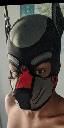 OnlyFans cuenta kodapup1 avatar 1