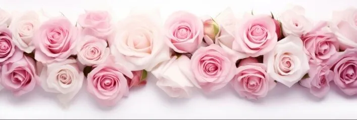 OnlyFans cuenta april_lovesrose header 2