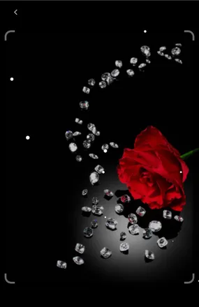 OnlyFans cuenta rosegabriella header 2