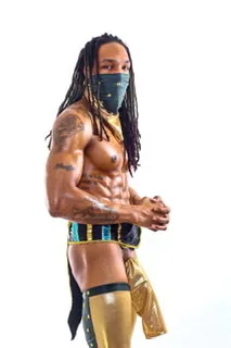OnlyFans cuenta pharaohstallion header 2
