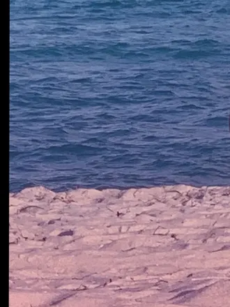 OnlyFans cuenta dylanorchidxxx header 2