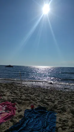 OnlyFans cuenta portuguesehammer header 2