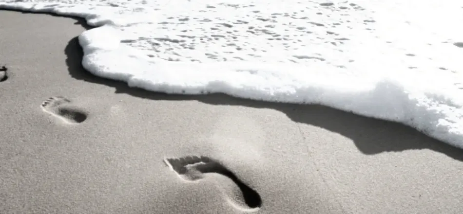 OnlyFans cuenta twinkle_toe_love header 2