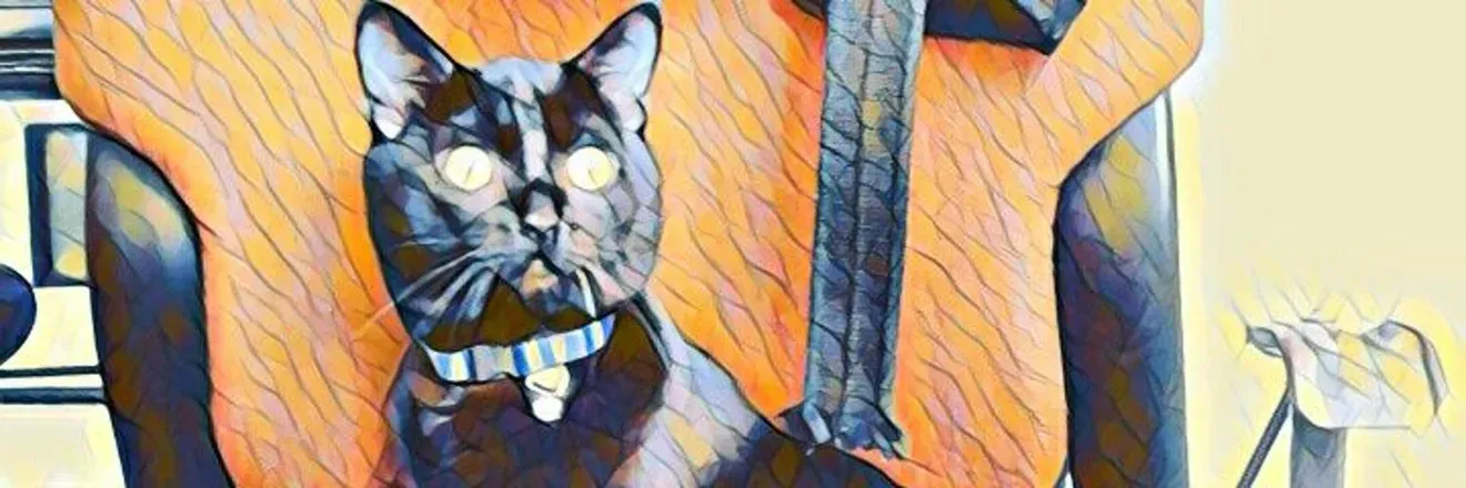 OnlyFans cuenta reallytrippycat header 2