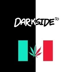 OnlyFans account  darksideto avatar 1