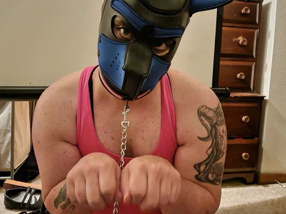 OnlyFans cuenta transpuppygurl header 2