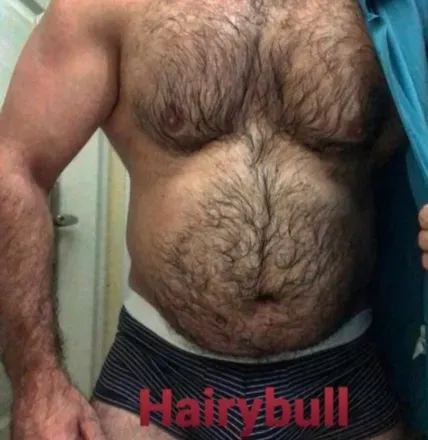 OnlyFans cuenta hairybullboss avatar 1