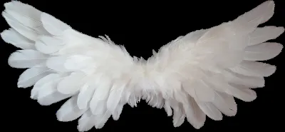 OnlyFans cuenta beydebeauvoir header 2